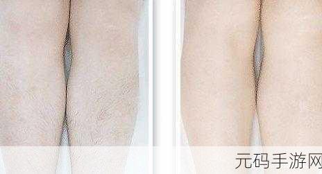 揭秘女生肾好与腿毛长图片背后的真相