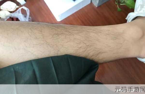 揭秘女生肾好与腿毛长图片背后的真相