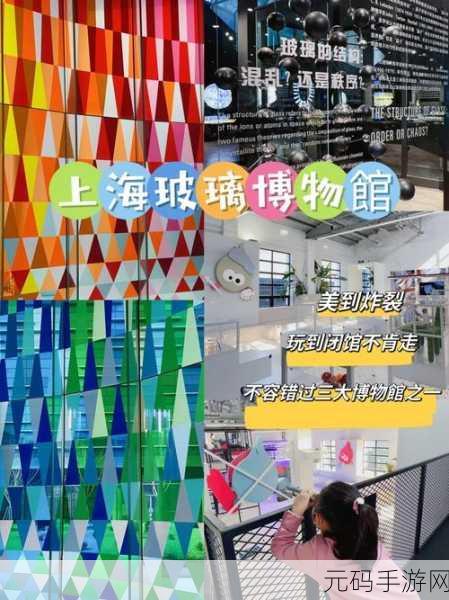 奇趣博物馆稀有度大揭秘,全面总结不容错过!