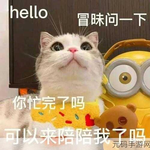 热门表情包大揭秘,那些希望人出事希望人没了的精彩呈现