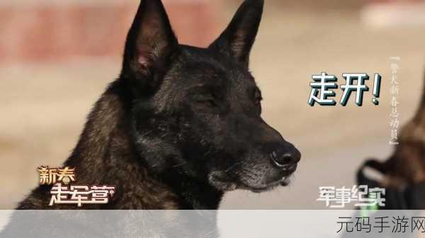 吃特种兵的大黑龙,黑龙特战:无限进化