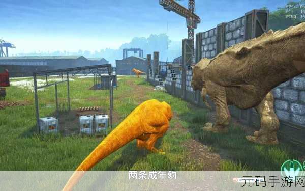 机甲恐龙游戏震撼发布,趣味性与吞噬能力并存的闯关冒险新体验
