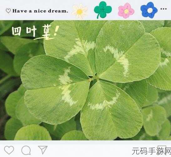 三叶草gw3443，【三叶草】萌宠大作战-3443