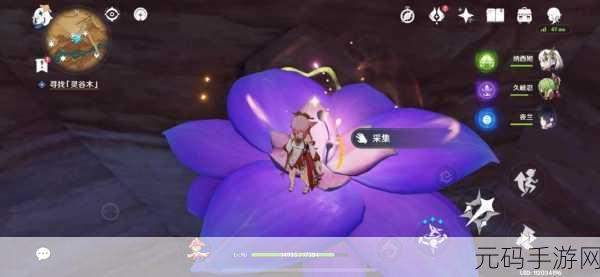 原神忧昙花神秘位置全揭秘,不容错过!