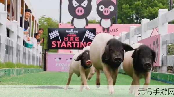 人or猪or狗302牧场,欢乐动物牧场大亨