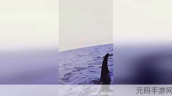 仙踪林老狼贰佰信息网金属切割，仙境探险：寻宝之旅