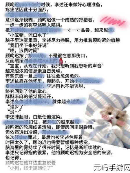 两个男生做酿酿酱酱叫什么，两兄弟的羞羞任务