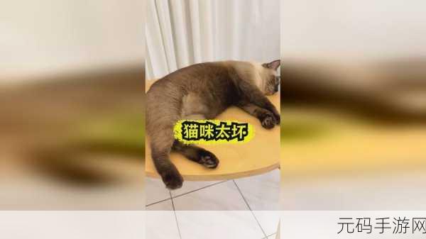 17C 一起,17C 一起玩
