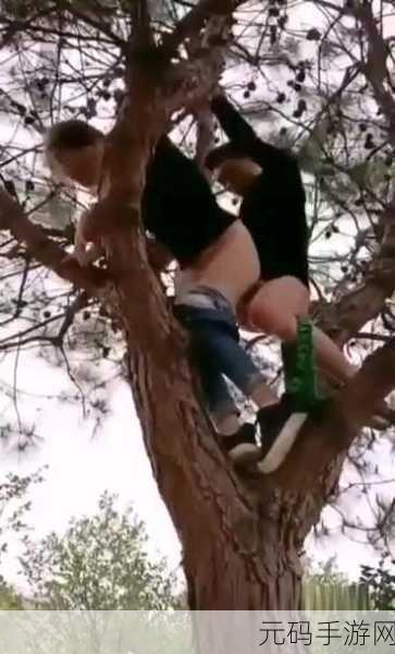 欧美成人亚洲,全球精品内容