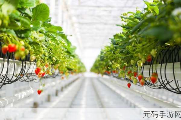 旧草莓无线观看,草莓星球 - 休闲娱乐社区