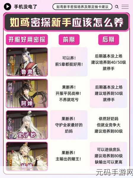 如鸢金卡养卡必备指南,热门推荐全解析