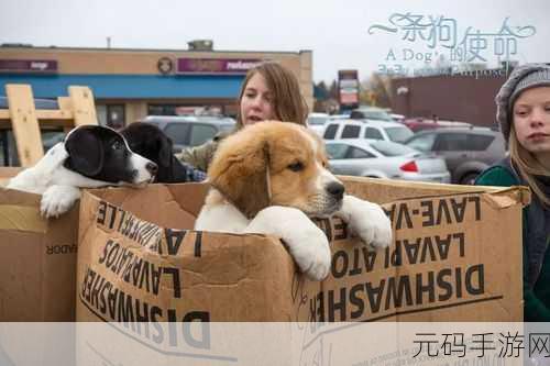 根据狗的使命英文版策略手游新版本震撼发布,探索与冒险再升级