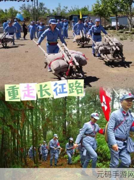 51做,51玩
