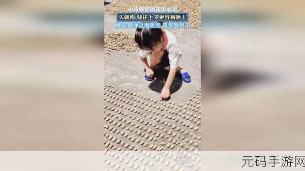 拔萝卜打牌不盖被,萝卜大作战:欢乐卡牌