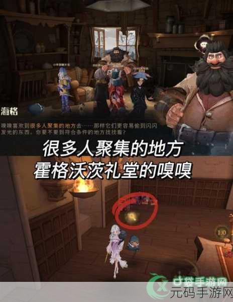 哈利波特魔法觉醒,轻松获取嗅嗅鼹鼠宠物秘籍大公开
