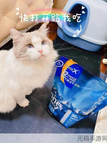 ZookeeperK9能播放的，K9宠物播放器