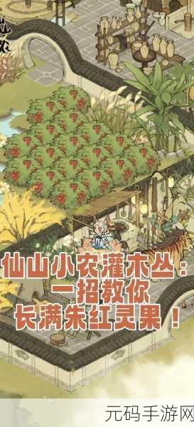仙山小农必备指南,法则道具的精妙运用秘籍