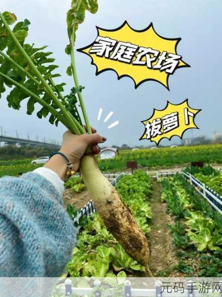 真人在床上拔萝卜,趣味农场大作战