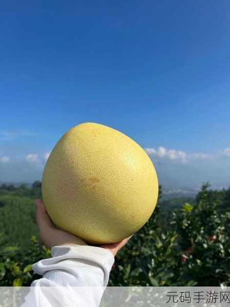 蜜柚色板视频,蜜柚视频 - 超清短视频社区