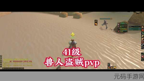 兽人盗贼,暗影猎手