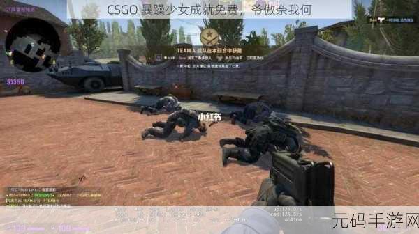 暴躁少女csgo人,枪战女神带你飞