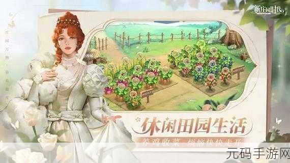 新庄园时代内测攻略,轻松获取经验秘籍