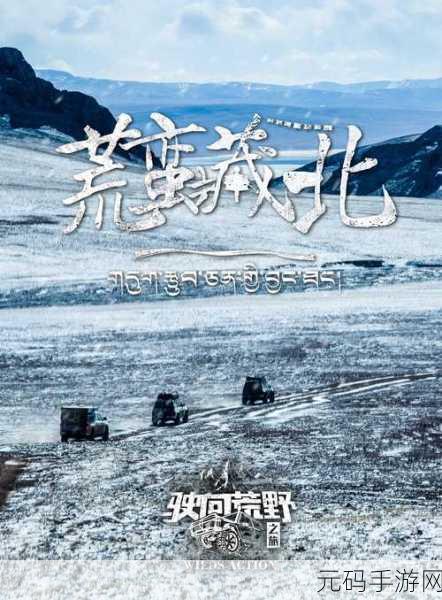 国产无人区码卡二卡3卡4卡,荒野探险:神秘卡牌大冒险