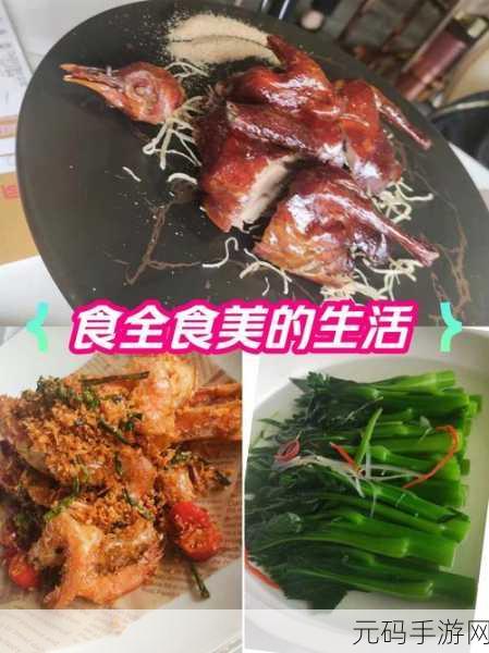 舌尖上的美食梦,沉浸在中国菜的魅力世界