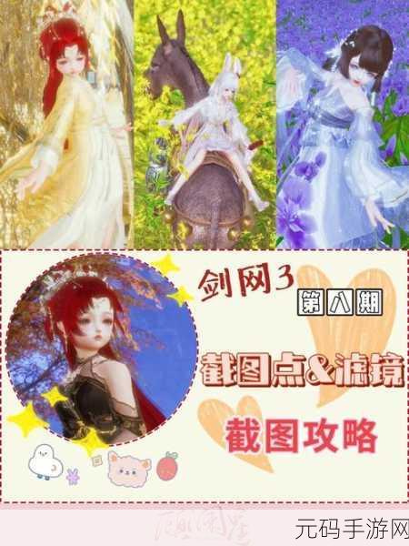 剑网 3 胜负局宠物奇遇，深度剖析高效攻略秘籍