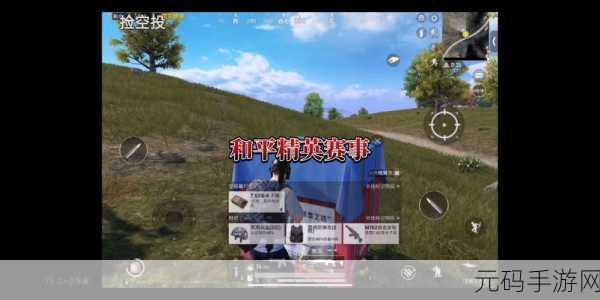 和平精英赛事会员开通秘籍,详细教程与精彩赛事细节