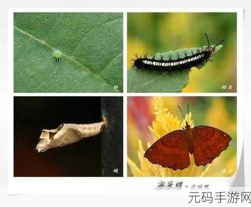 窗台上的蝴蝶免费安装包发布,探索与众不同的叙事解谜新体验