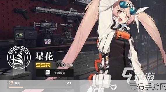 雷索纳斯列车升级秘籍,全面解析等级提升之道