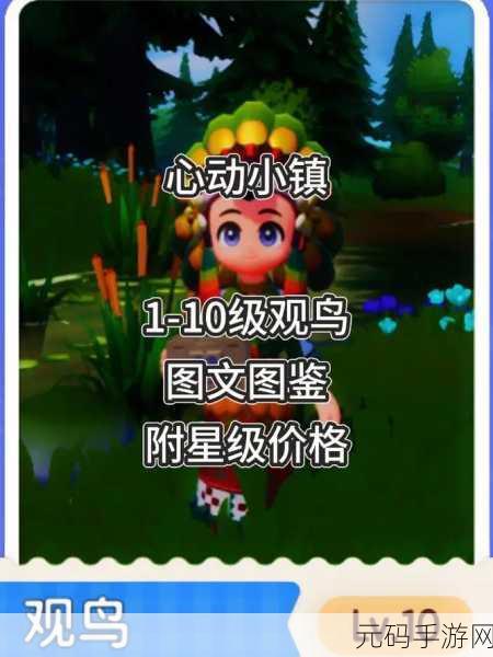 心动秘籍,轻松获取小镇鸟类资料卡