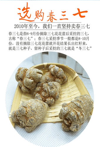 三七大但人文艺术免费任,三七艺术馆:免费探索人文之美