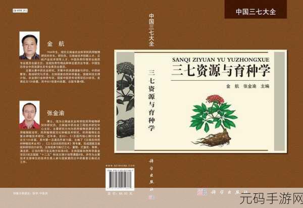 三七大但人文艺术免费任,三七艺术馆:免费探索人文之美