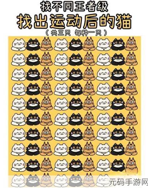 找茬大考验游戏全新版本震撼发布,益智挑战再升级!