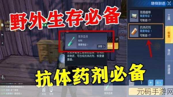 黎明觉醒生存试炼通关秘籍，全面解析与实战技巧