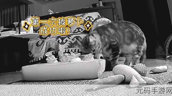 二人世界拔萝卜生孩子,萝卜庄园:双人甜蜜种植季