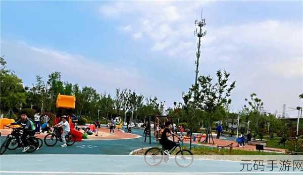 免费黄平台,休闲娱乐社区