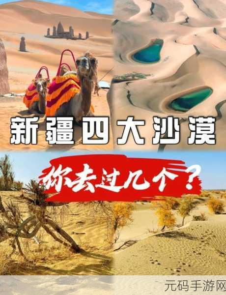 WINDOWS18一19新疆,新疆探秘:沙漠奇缘