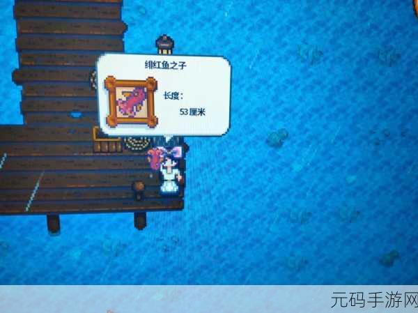探寻星露谷物语中鱿鱼娃的神秘藏身之处