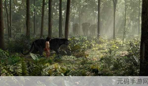 大象回家2022秘密人口,大象归途:奇幻森林冒险