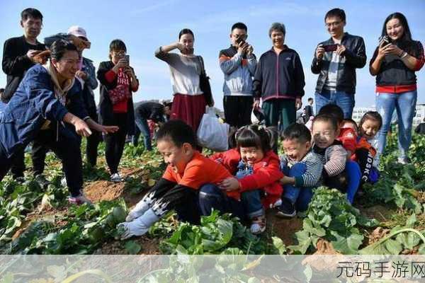 在床上拔萝卜，萝卜农场大作战