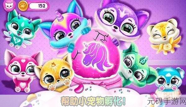 宠物化妆世界游戏全新版本震撼发布,打造梦幻宠物乐园