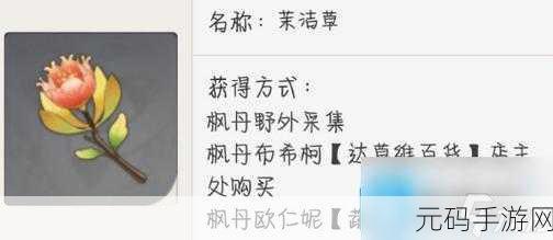 原神必备,茉洁草完整获取秘籍大公开
