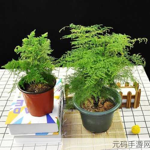 宝宝植物盆栽试验，全新儿童益智休闲手游闪亮登场