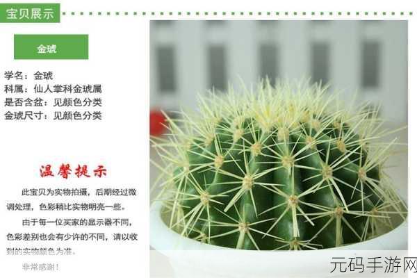 宝宝植物盆栽试验，全新儿童益智休闲手游闪亮登场