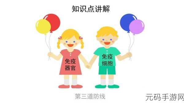 揭秘人体最坚固防线,牙齿与骨头的终极对决