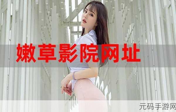 嫩草影视传媒股份有限公司，青葉遊戲娛樂股份有限公司