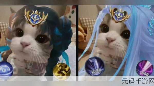 王者荣耀猫咪五虎将接头头像全解析,精彩不容错过!
